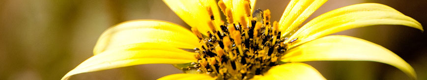 davidgp.com header image 4